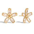 Boucles d'oreilles star